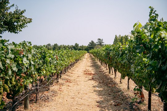 Tour image 11