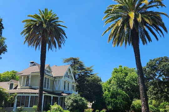 Tour image 11
